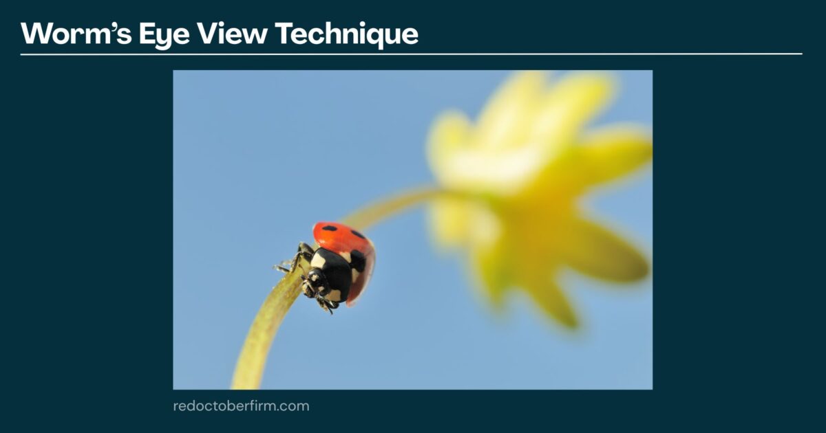 A Close-Up, Worm’s-Eye View Of A Ladybug On A Plant Stem With A Blurred Yellow Flower And Blue Sky In The Background.