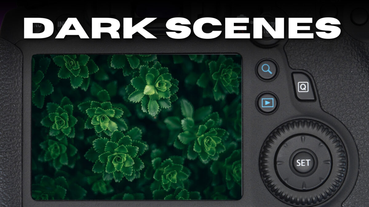 A Camera Featuring Various Metering Modes, Specifically Designed To Capture Dark Scenes With Exceptional Clarity.