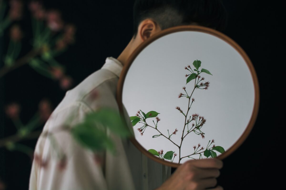 A Man Ingeniously Transforms Photos Into Art By Holding A Mirror With A Plant Reflecting Captivating Imagery.