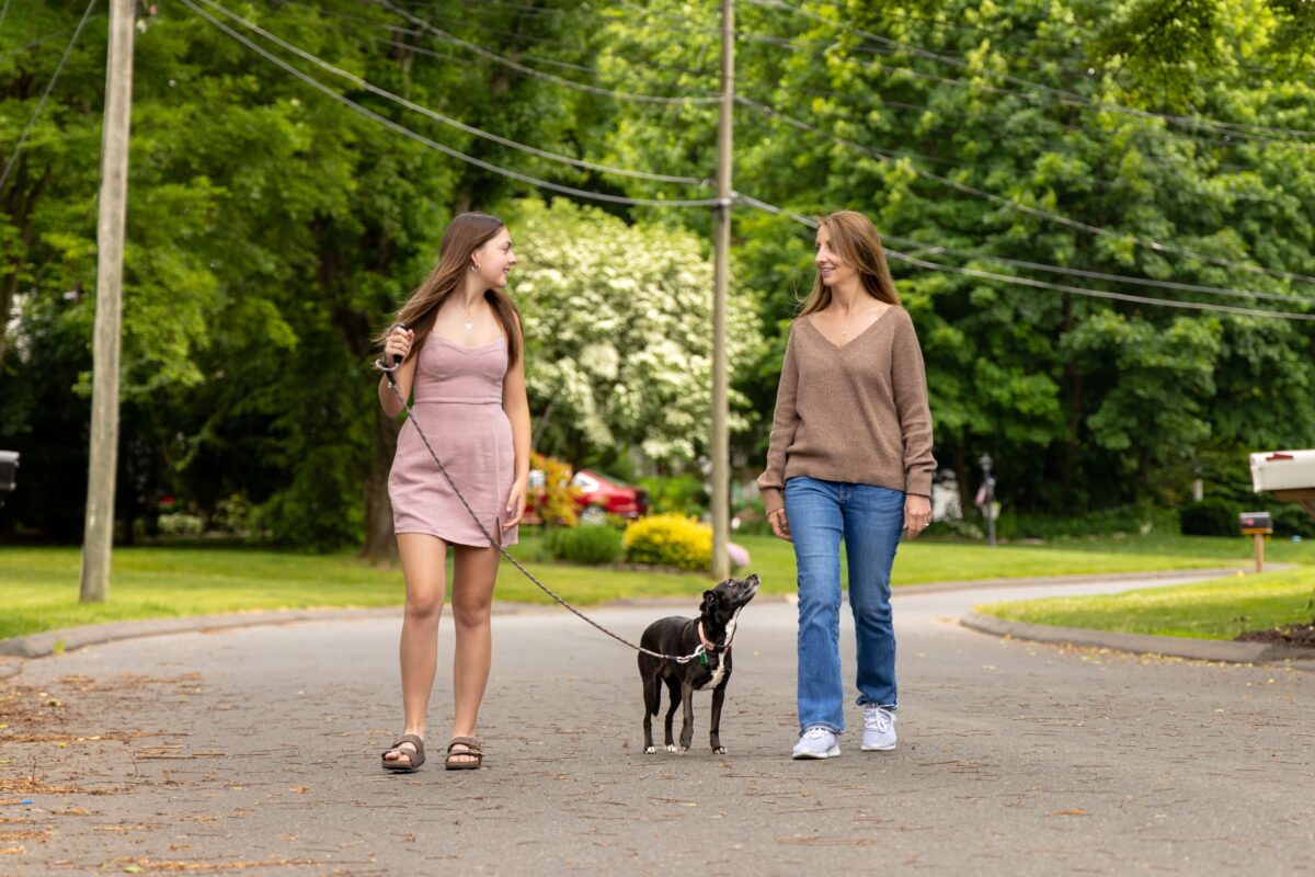 Two Women Walking A Dog On A Leash Under The Harsh Sunlight.
