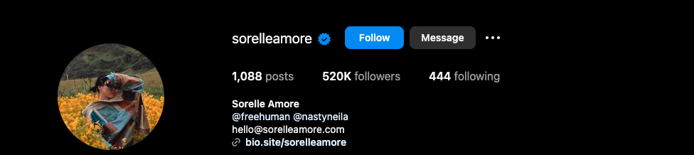 Instagram Profile Of &Quot;Sorelleamore&Quot; With 1,088 Posts, 520K Followers, And 444 Following. Profile Photo Shows A Person Standing In A Field Of Yellow Flowers.