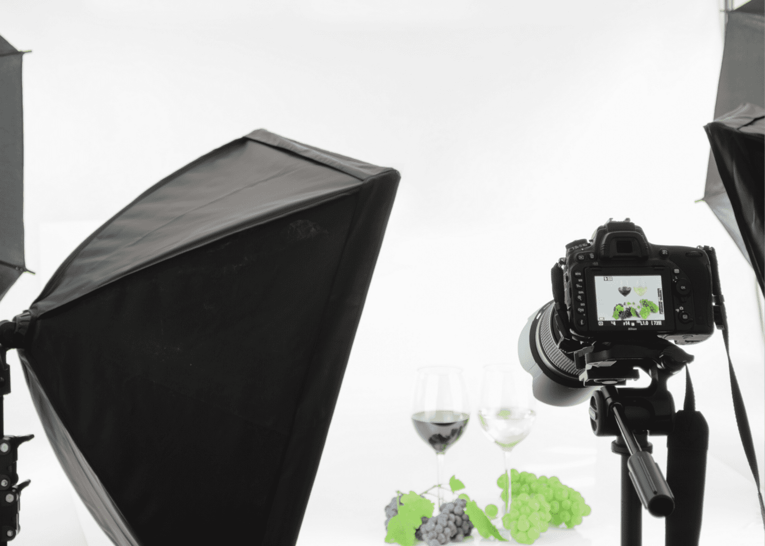 Professional Photography Services